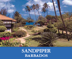 Sandpiper Barbados